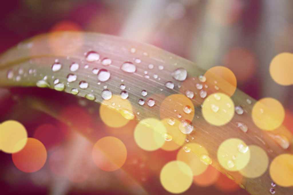 Assistance Burnout • Date 09/04/24 • 10h00 •• PERDRE LE CONTRÔLE