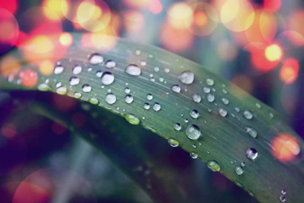 Assistance Burnout • Date 04/06/24 • 5h00 •• ACCEPTER D’ÊTRE VICTIME...