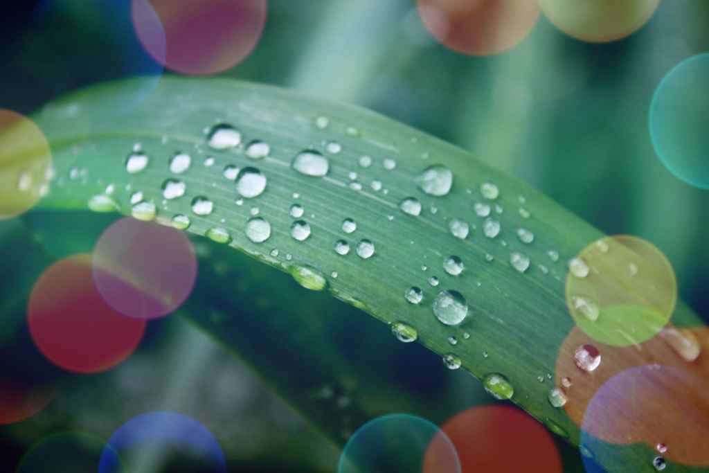 Assistance Burnout • Date 15/05/24 • 10h00 •• LE LÂCHER-PRISE