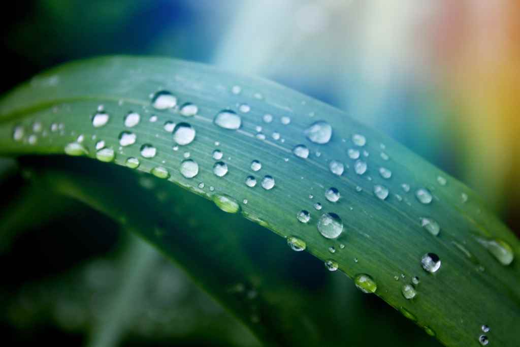 Assistance Burnout • Date 10/09/24 • 10h00 •• VIVRE ET SURVIVRE L’ÉCHEC