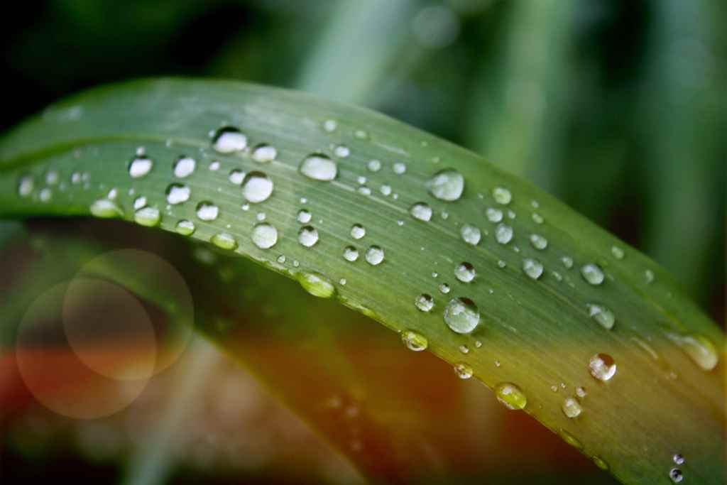 Assistance Burnout • Date 05/12/23 • 10h00 •• LE SENTIMENT D'ISOLEMENT