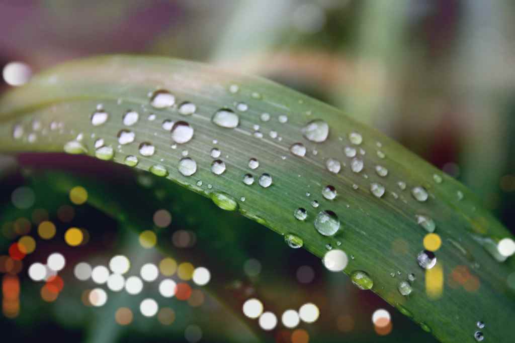 Assistance Burnout • Date 08/01/24 • 10h00 •• LES EFFETS DU STRESS