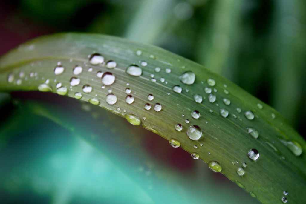 Assistance Burnout • Date 07/02/24 • 15h00 •• DÉMYSTIFIER LE BURNOUT