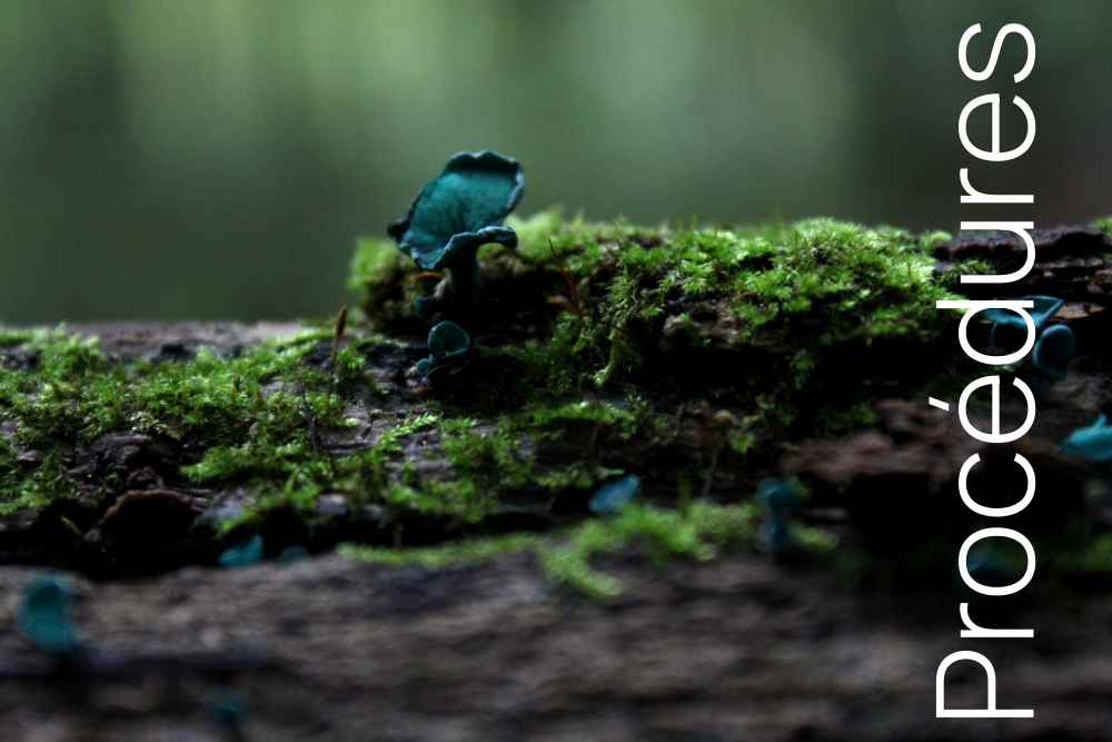 Gestion des situations complexes