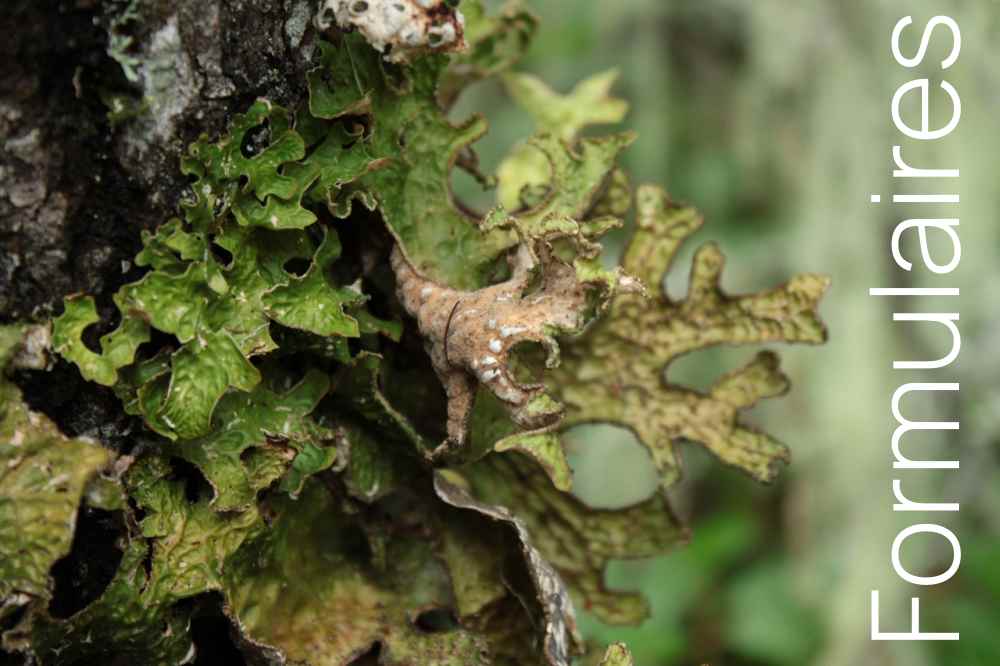 La gestion des réunions • Ordre du jour et évaluation